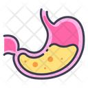 پیش‌نمایش فایل stomach-2054589 از پک بدن انسان