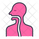 پیش‌نمایش فایل throat-2054588 از پک بدن انسان