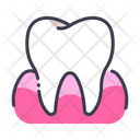 پیش‌نمایش فایل tooth-2054599 از پک بدن انسان
