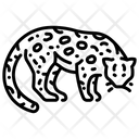 پیش‌نمایش فایل ocelot-2097029 از پک زندگی از آمازون