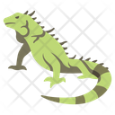 پیش‌نمایش فایل green-iguana-2097066 از پک زندگی از آمازون