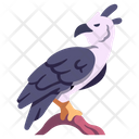 پیش‌نمایش فایل harpy-eagle-2097073 از پک زندگی از آمازون