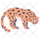 پیش‌نمایش فایل ocelot-2097050 از پک زندگی از آمازون