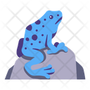 پیش‌نمایش فایل poison-dart-frogs-2097074 از پک زندگی از آمازون