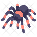 پیش‌نمایش فایل tarantula-2097063 از پک زندگی از آمازون