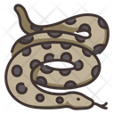 پیش‌نمایش فایل anaconda-2097077 از پک زندگی از آمازون