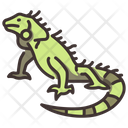 پیش‌نمایش فایل green-iguana-2097096 از پک زندگی از آمازون