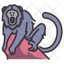 پیش‌نمایش فایل howler-monkey-2097100 از پک زندگی از آمازون