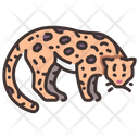 پیش‌نمایش فایل ocelot-2097080 از پک زندگی از آمازون