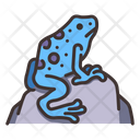 پیش‌نمایش فایل poison-dart-frogs-2097104 از پک زندگی از آمازون