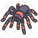 پیش‌نمایش فایل tarantula-2097093 از پک زندگی از آمازون