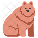پیش‌نمایش فایل bear-2109394 از پک فرهنگ ژاپن