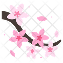 پیش‌نمایش فایل cherry-blossom-2109383 از پک فرهنگ ژاپن
