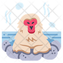 پیش‌نمایش فایل japanese-monkey-2109393 از پک فرهنگ ژاپن
