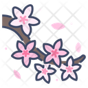پیش‌نمایش فایل cherry-blossom-2109345 از پک فرهنگ ژاپن
