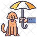 پیش‌نمایش فایل pet-insurance-2109295 از پک بیمه