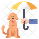پیش‌نمایش فایل pet-insurance-2109263 از پک بیمه