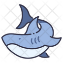 پیش‌نمایش فایل shark-2179582 از پک دزد دریایی