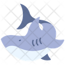 پیش‌نمایش فایل shark-2179636 از پک دزد دریایی