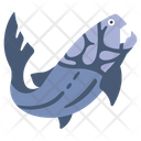 پیش‌نمایش فایل shark-2179494 از پک جهان گمشده