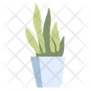 پیش‌نمایش فایل fern-pot-2344385 از پک باغبانی