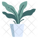 پیش‌نمایش فایل fern-pot-2344386 از پک باغبانی