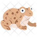 پیش‌نمایش فایل frog-2344344 از پک باغبانی
