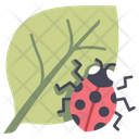 پیش‌نمایش فایل ladybug-2344357 از پک باغبانی