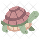 پیش‌نمایش فایل turtle-2344369 از پک باغبانی