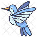 پیش‌نمایش فایل bird-2344302 از پک باغبانی