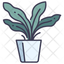 پیش‌نمایش فایل fern-pot-2344298 از پک باغبانی
