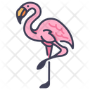 پیش‌نمایش فایل flamingo-2344296 از پک باغبانی