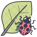 پیش‌نمایش فایل ladybug-2344321 از پک باغبانی