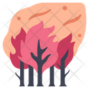 پیش‌نمایش فایل wildfire-2344478 از پک آلودگی