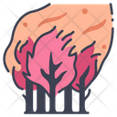 پیش‌نمایش فایل wildfire-2344446 از پک آلودگی