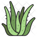 پیش‌نمایش فایل aloevera-3138519 از پک میوه و سبزیجات