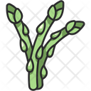 پیش‌نمایش فایل asparagus-3138488 از پک میوه و سبزیجات