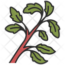 پیش‌نمایش فایل basil-3138487 از پک میوه و سبزیجات