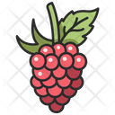 پیش‌نمایش فایل berry-3138557 از پک میوه و سبزیجات