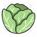 پیش‌نمایش فایل cabbage-3138514 از پک میوه و سبزیجات