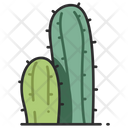 پیش‌نمایش فایل cactus-3138485 از پک میوه و سبزیجات