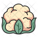 پیش‌نمایش فایل cauliflower-3138571 از پک میوه و سبزیجات
