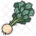پیش‌نمایش فایل celeriac-3138484 از پک میوه و سبزیجات