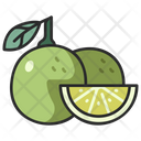 پیش‌نمایش فایل citrus-3138547 از پک میوه و سبزیجات