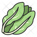 پیش‌نمایش فایل lettuce-3138512 از پک میوه و سبزیجات