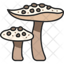 پیش‌نمایش فایل mushroom-3138527 از پک میوه و سبزیجات