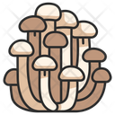 پیش‌نمایش فایل mushroom-3138567 از پک میوه و سبزیجات