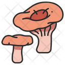 پیش‌نمایش فایل mushroom-3138568 از پک میوه و سبزیجات