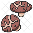 پیش‌نمایش فایل mushroom-3138569 از پک میوه و سبزیجات