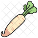 پیش‌نمایش فایل radish-3138560 از پک میوه و سبزیجات